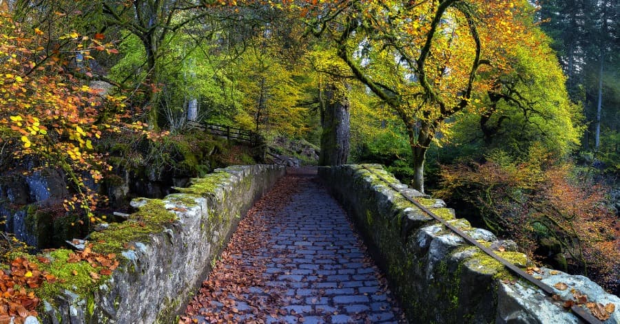 Health Benefits of Eating Vegetables